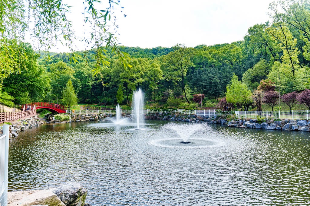 용인자작나무숲 봄꽃축제와 쿰 오케스트라 연주회 27