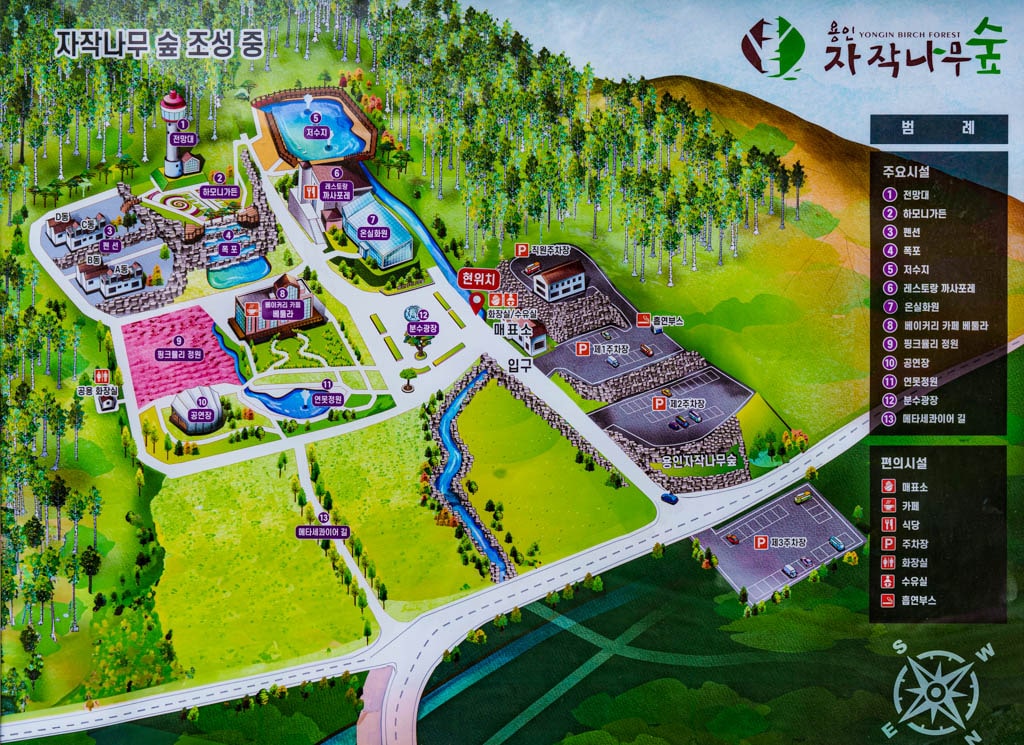 용인자작나무숲 봄꽃축제와 쿰 오케스트라 연주회 22