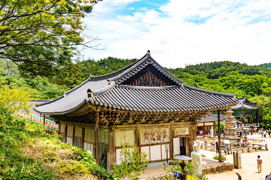 6월의 싱그러움이 가득한 공주 마곡사를 다녀오다 13