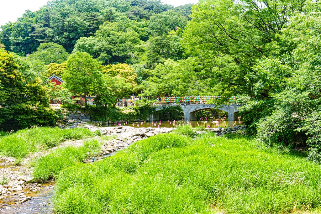 공주 마곡사 풍경, 마곡사 가능길 막곡사 가는길 데크에서 바라보이는 마곡사 다리, DSC04878-, Photo by Happist