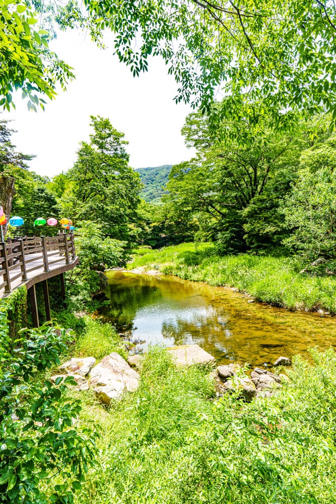 공주 마곡사 풍경, 마곡사 가능길 막곡사 계곡 풍경, DSC04876-, Photo by Happist