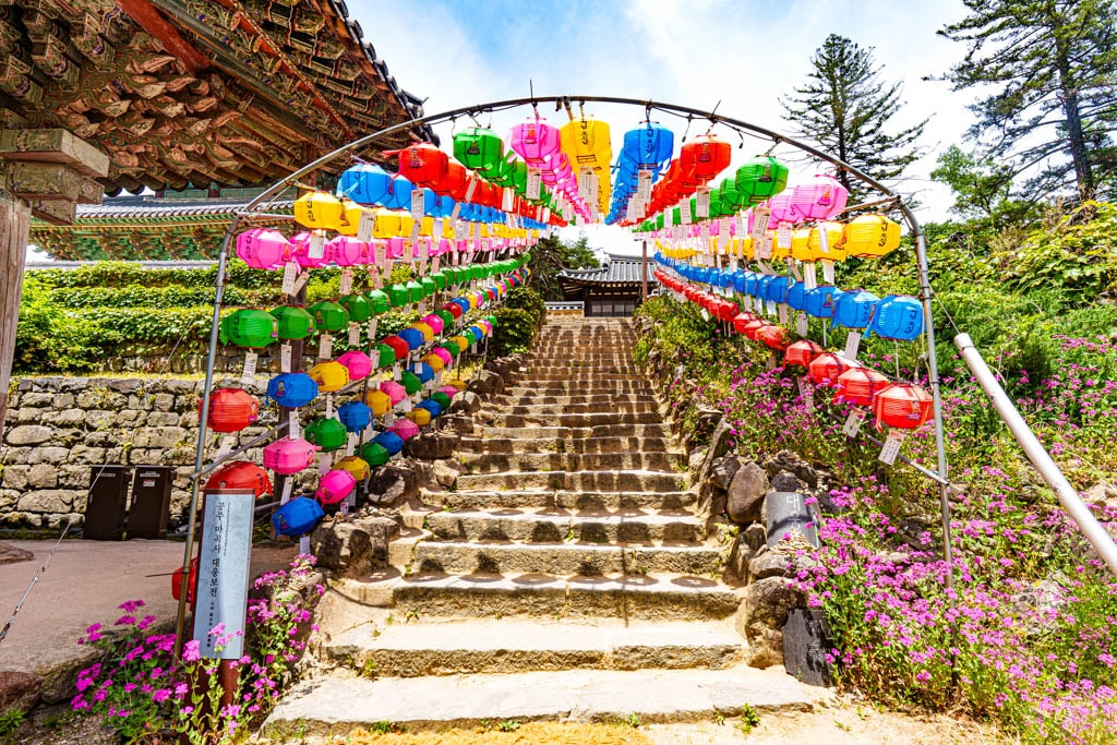 6월의 싱그러움이 가득한 공주 마곡사를 다녀오다 15