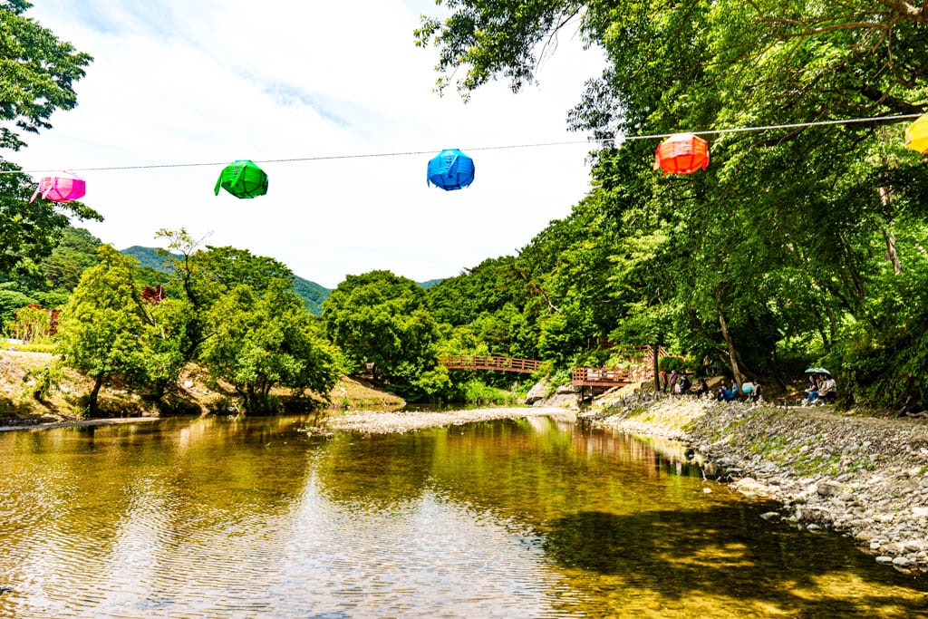 6월의 싱그러움이 가득한 공주 마곡사를 다녀오다 19