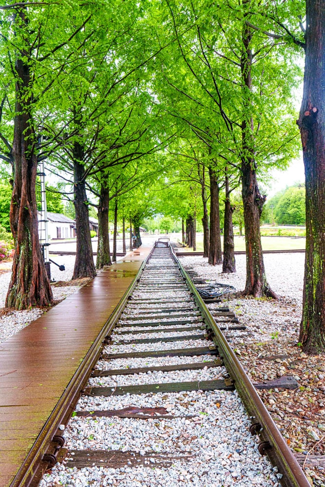 남원 구서도역, 미스터 선샤인 촬영지, 등나무꽃 명소, 구서도역 영상촬영장 1