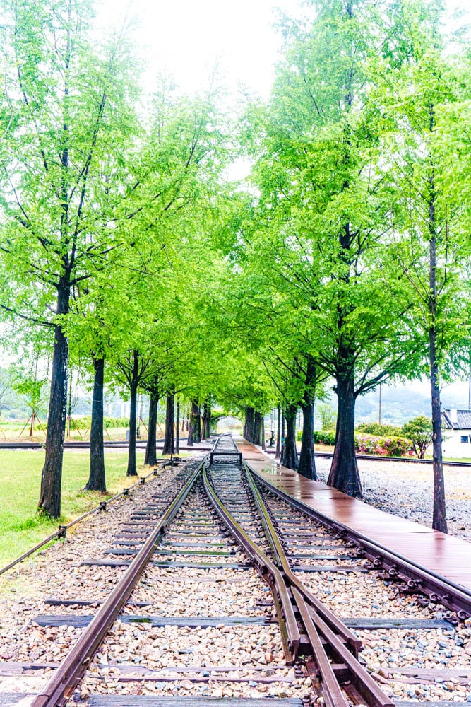 남원 구서도역, 미스터 선샤인 촬영지, 등나무꽃 명소, 구서도역 영상촬영장 2