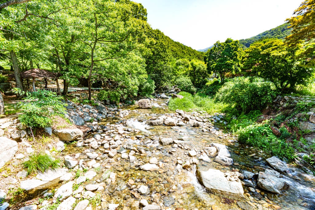 여름 물놀이 계곡 명소 양평 사나사 계곡 소개 16