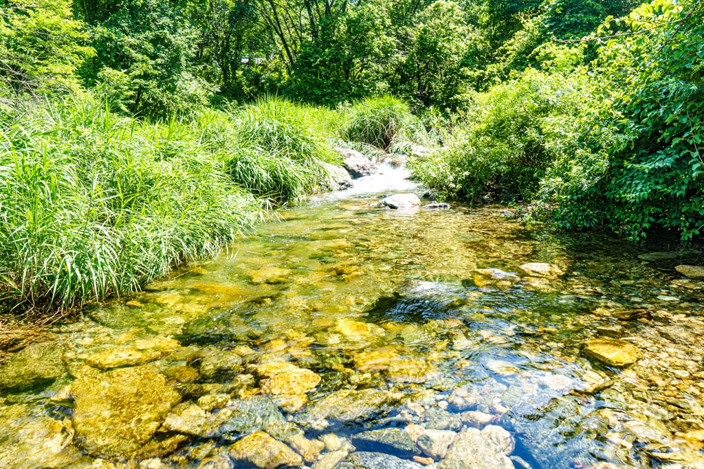 여름 물놀이 계곡 명소 양평 사나사 계곡 소개 27