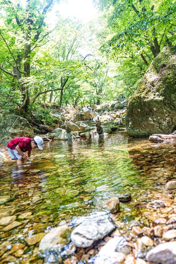 양평 용문사, 용문사 가는 길, 용문사 가는 길, 용문사 계곡 풍경, DSC05324-, Photo by Happist