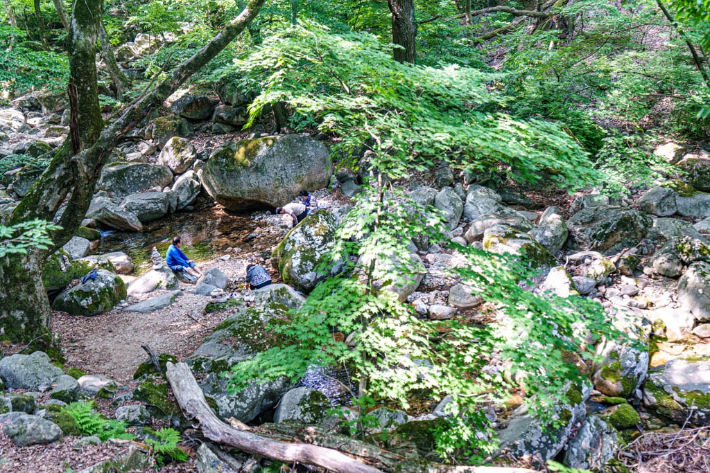 양평 용문사, 용문사 가는 길, 용문사 가는 길, 용문사 계곡 풍경, DSC05340-, Photo by Happist