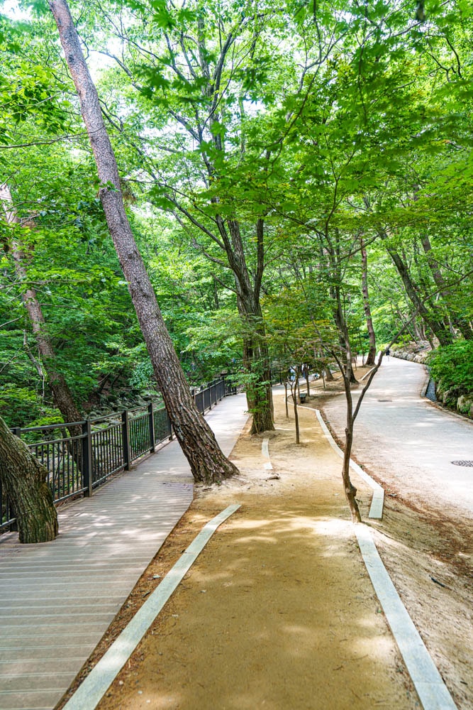 6월의 용문사, 푸릇푸릇한 용문사 은행나무가 아름다웠던 곳 4