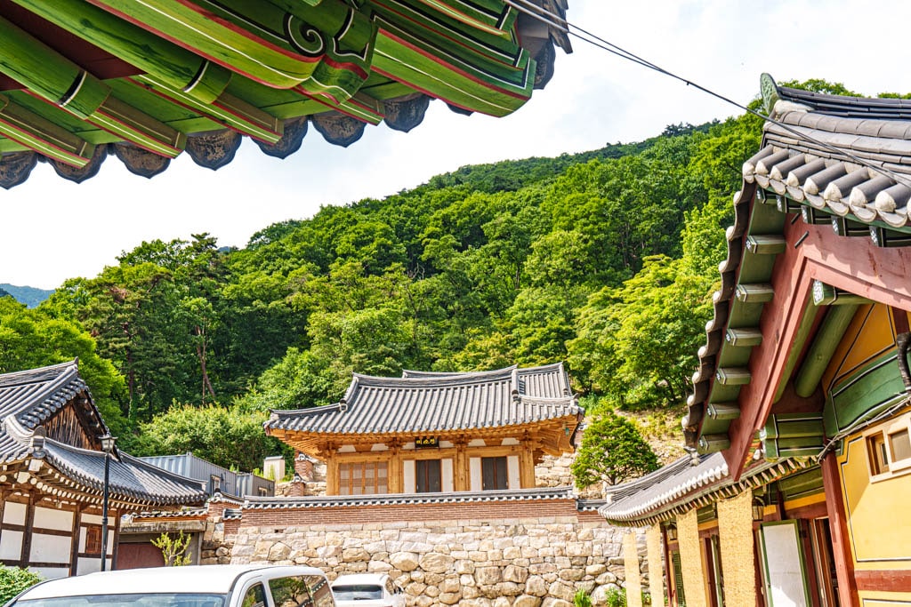 6월의 용문사, 푸릇푸릇한 용문사 은행나무가 아름다웠던 곳 10