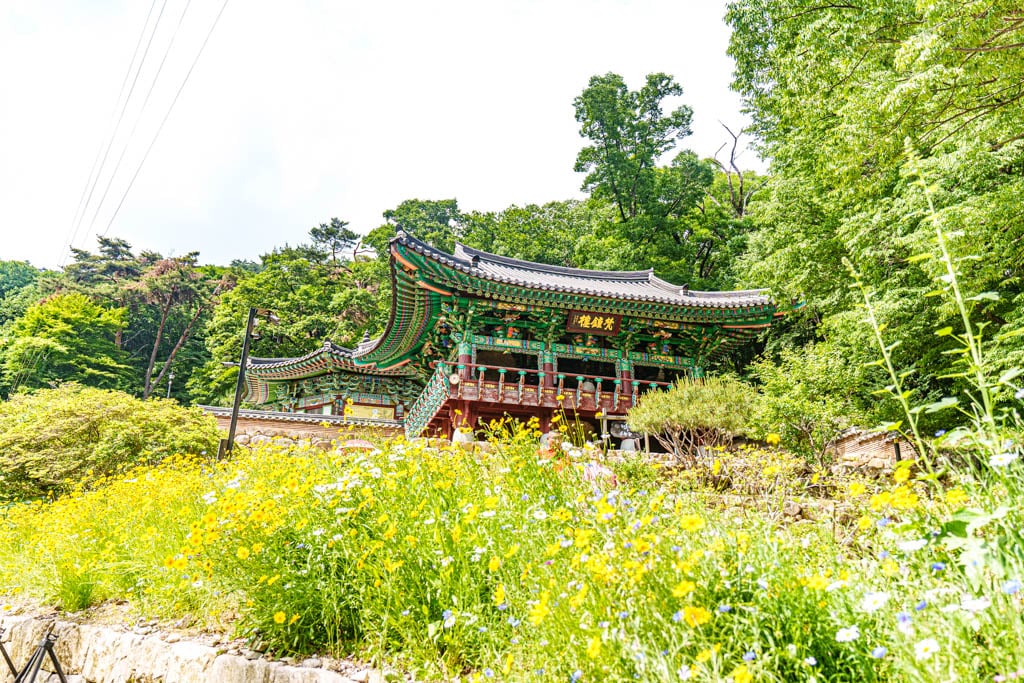 양평 용문사, 용문사 경내 풍경, 용문사 범종루, DSC05347-, Photo by Happist