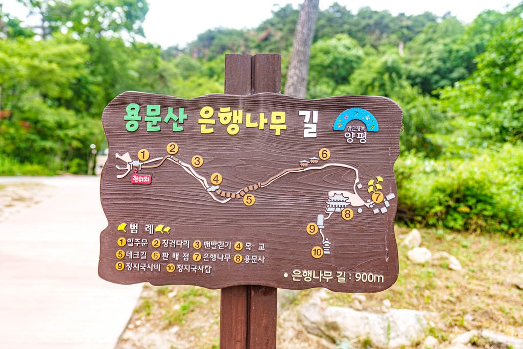 양평 용문사, 용문사 은행나무 길, DSC05294-, Photo by Happist