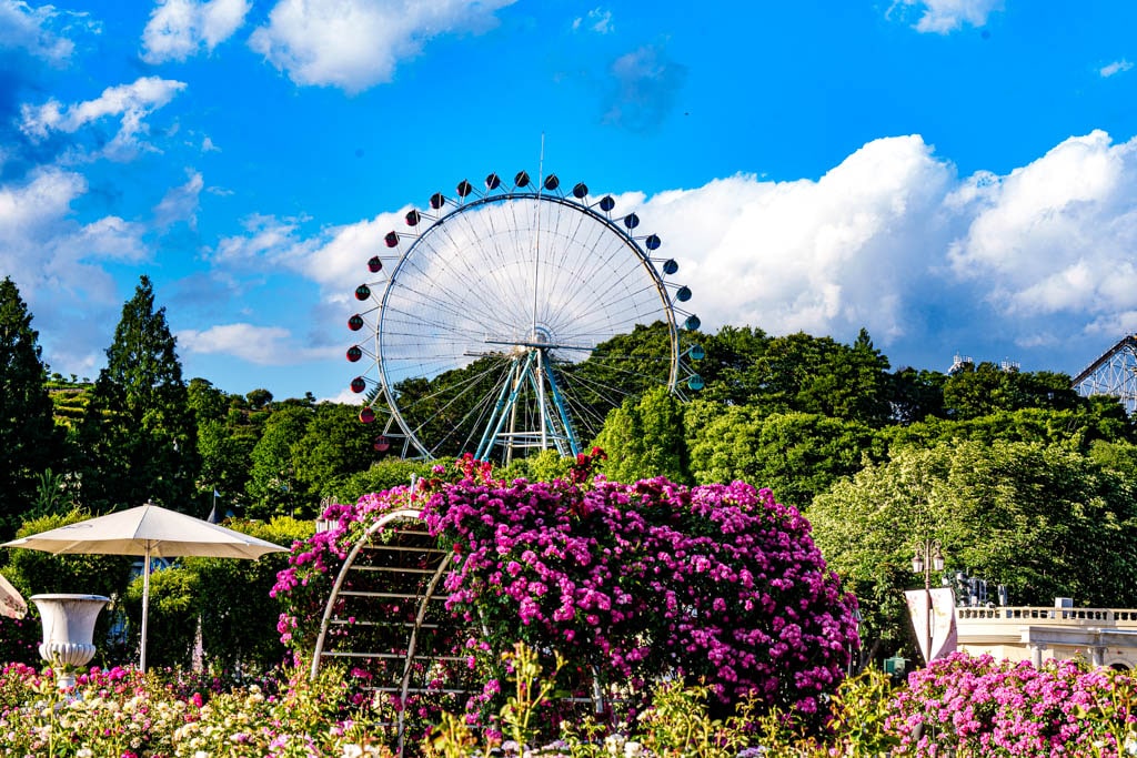 세계 테마파크 순위, 애버랜드 순위