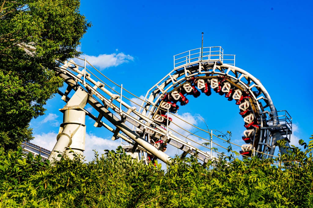 6월의 장미, 에버랜드 장미를 담아보다 35