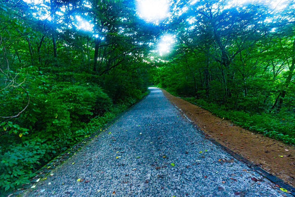 지리산 노고단 가는 길, 지리산 노고단 일출과 운해-34 Photo by Happist