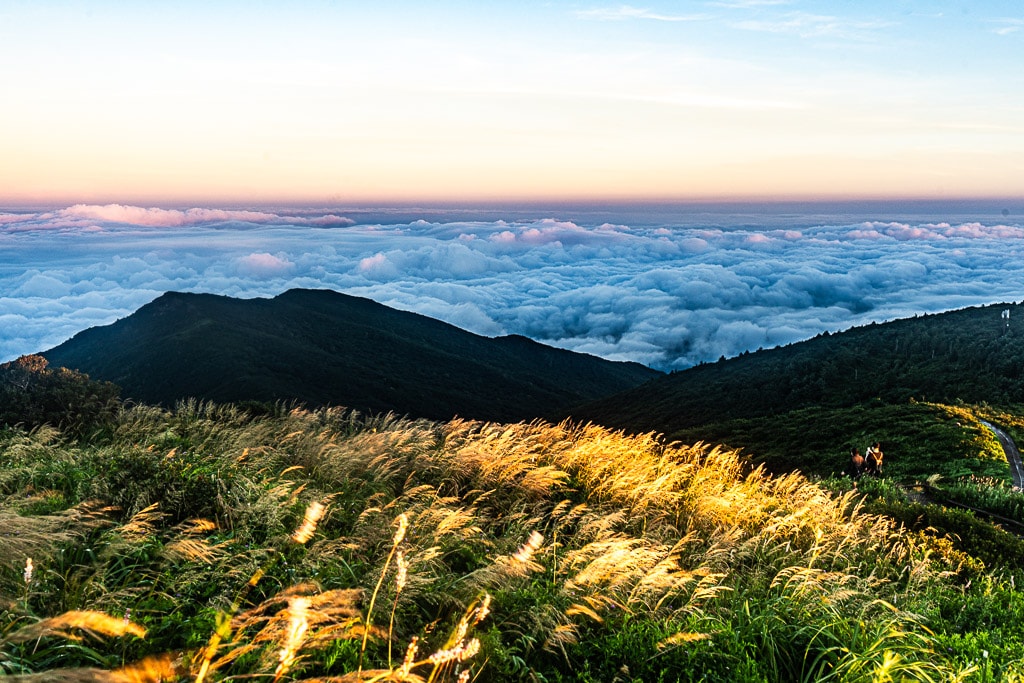 지리산 노고단 운해속 일출을 보다 11
