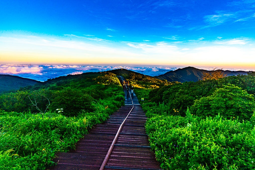 지리산 노고단 운해속 일출을 보다 10