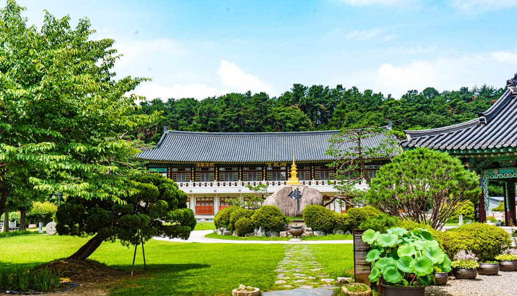 여름 아름다운 수원 봉녕사 능소화 풍경 21 여름 아름다운 수원 봉녕사 능소화 풍경 15