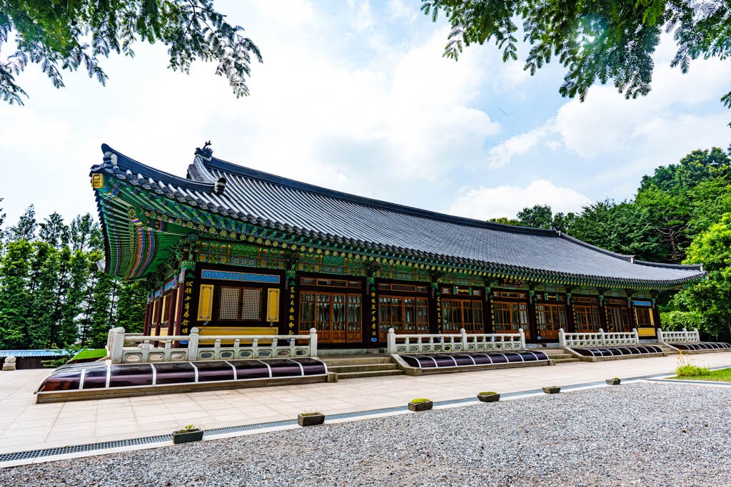 여름 아름다운 수원 봉녕사 능소화 풍경 26 여름 아름다운 수원 봉녕사 능소화 풍경 20