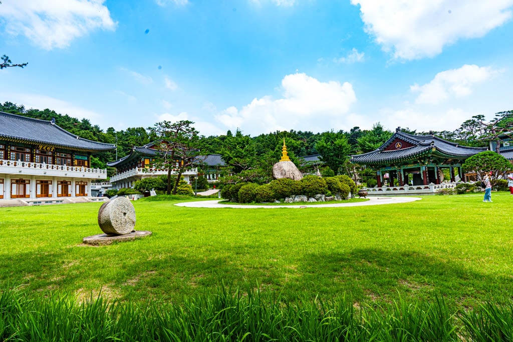 여름 아름다운 수원 봉녕사 능소화 풍경 24 여름 아름다운 수원 봉녕사 능소화 풍경 18