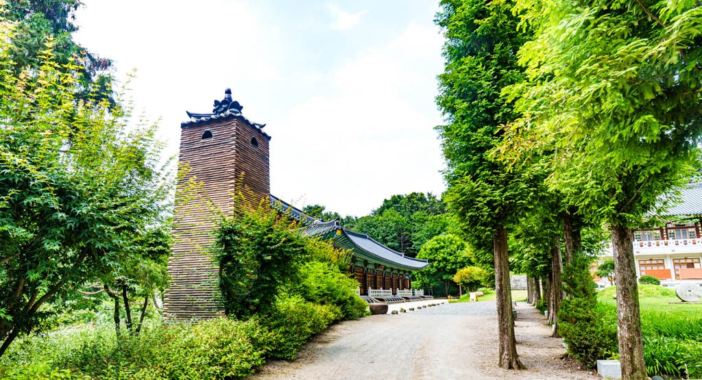 여름 아름다운 수원 봉녕사 능소화 풍경 27 여름 아름다운 수원 봉녕사 능소화 풍경 21