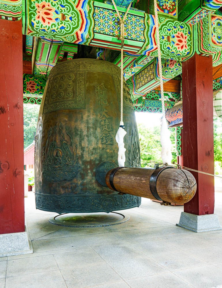 여름 아름다운 수원 봉녕사 능소화 풍경 20 여름 아름다운 수원 봉녕사 능소화 풍경 14