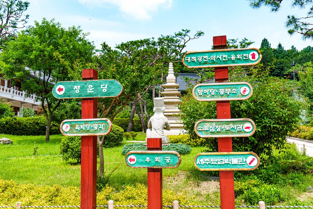 여름 아름다운 수원 봉녕사 능소화 풍경 28 여름 아름다운 수원 봉녕사 능소화 풍경 22