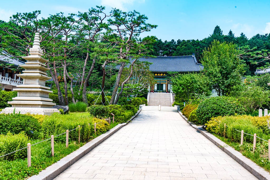 여름 아름다운 수원 봉녕사 능소화 풍경 29 여름 아름다운 수원 봉녕사 능소화 풍경 23