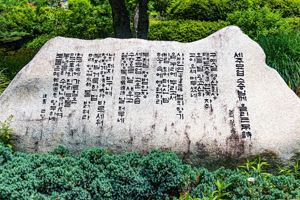 여름 아름다운 수원 봉녕사 능소화 풍경 31 여름 아름다운 수원 봉녕사 능소화 풍경 25