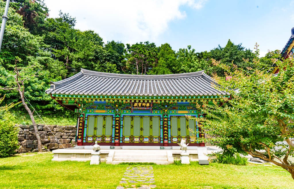 여름 아름다운 수원 봉녕사 능소화 풍경 36 여름 아름다운 수원 봉녕사 능소화 풍경 30