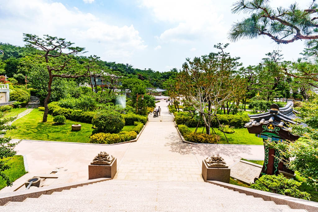 여름 아름다운 수원 봉녕사 능소화 풍경 30 여름 아름다운 수원 봉녕사 능소화 풍경 24