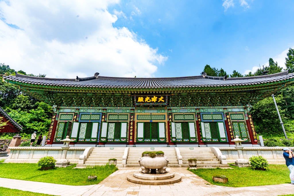 여름 아름다운 수원 봉녕사 능소화 풍경 32 여름 아름다운 수원 봉녕사 능소화 풍경 26