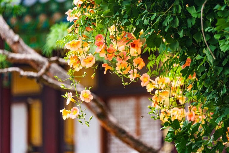 수원 봉녕사, 봉영사 경내풍경, DSC06469-, Photo by Happist