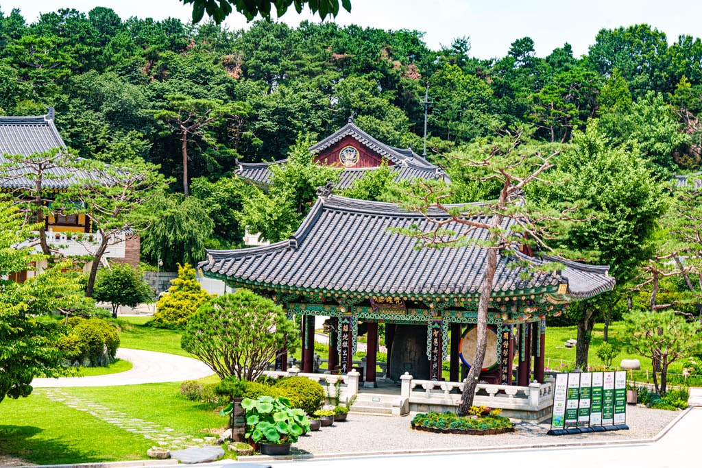 여름 아름다운 수원 봉녕사 능소화 풍경 18 여름 아름다운 수원 봉녕사 능소화 풍경 12