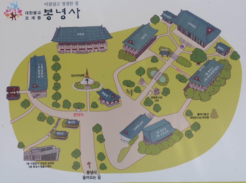 여름 아름다운 수원 봉녕사 능소화 풍경 17 여름 아름다운 수원 봉녕사 능소화 풍경 11