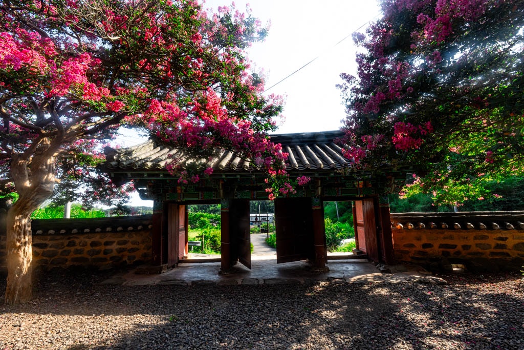 군산 옥구향교 배롱나무 풍경, 외사문 안쪽에서 바라ㅣ본 풍광,_DSC1730-, Photo by Happist