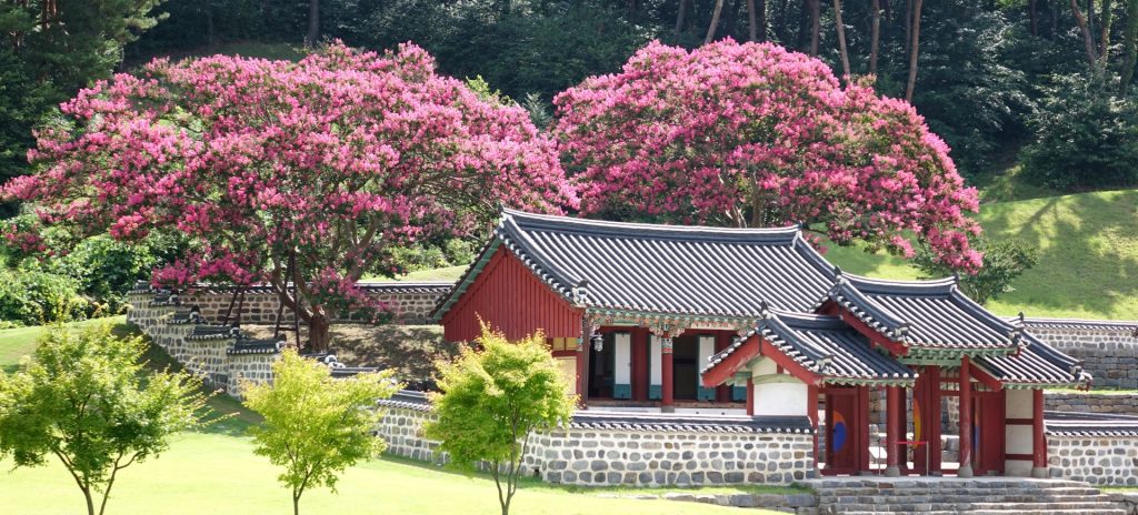 서천 문헌서원 배롱나무꽃, 사진 출처, 서천 문헌서원 홈페이지