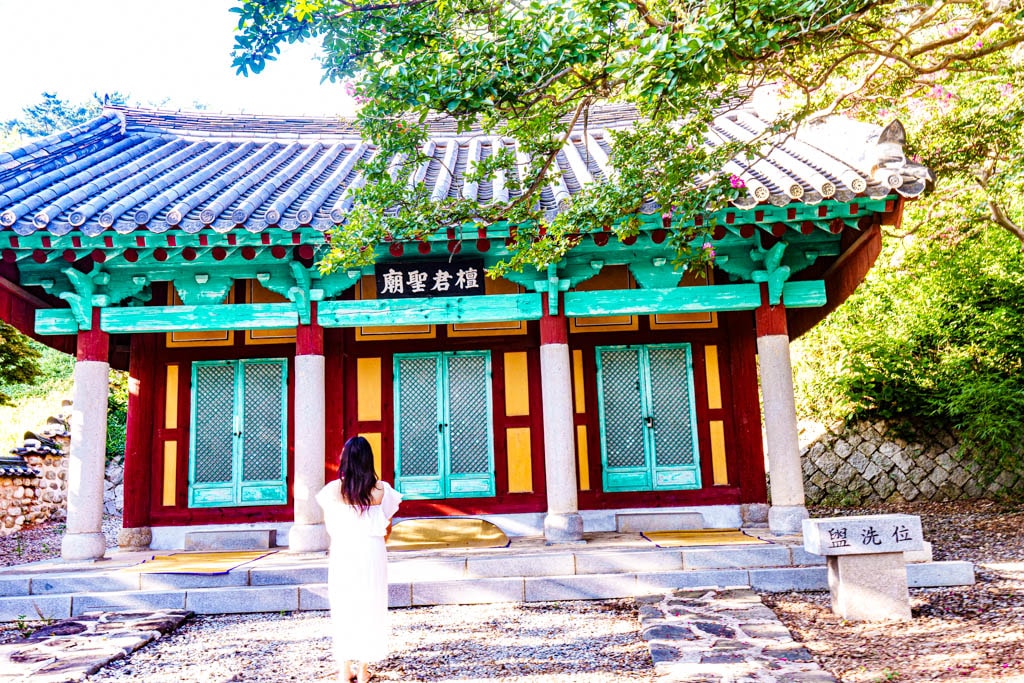 배롱나무꽃이 가장 아름다운 군산 옥구향교 배롱나무 풍경 47