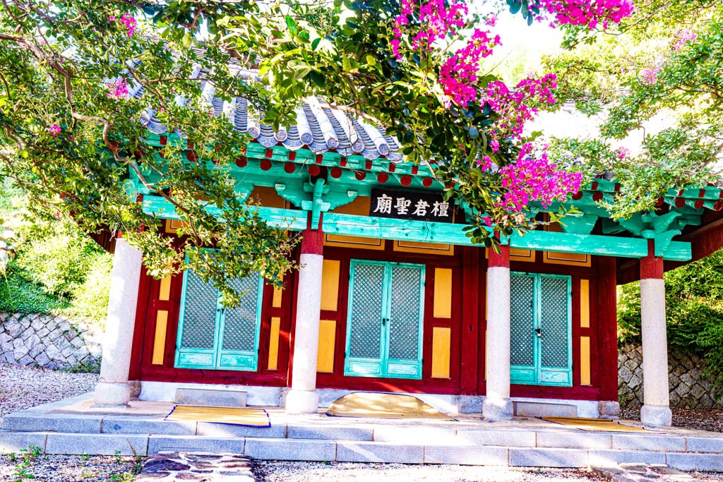 배롱나무꽃이 가장 아름다운 군산 옥구향교 배롱나무 풍경 48