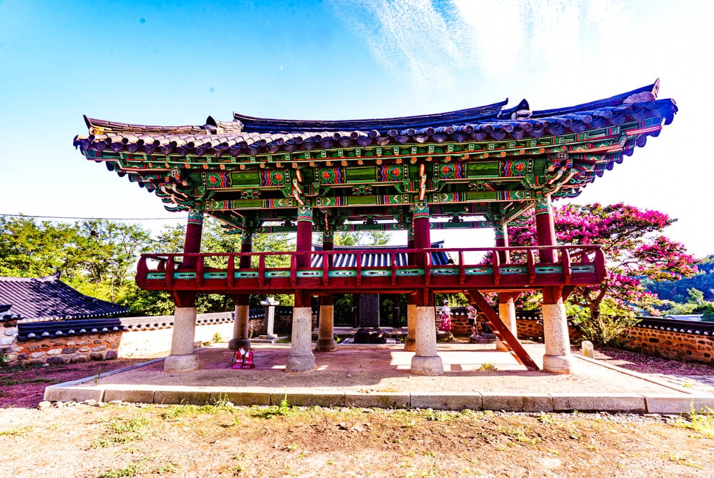 배롱나무꽃이 가장 아름다운 군산 옥구향교 배롱나무 풍경 58