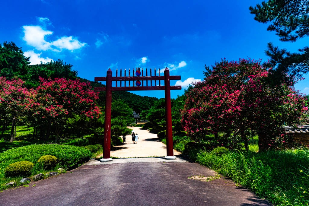 배롱나무 명소, 대구 신승겸장군 유적지 배롱나무 풍경 3 배롱나무 명소, 대구 신승겸장군 유적지 배롱나무 풍경 1