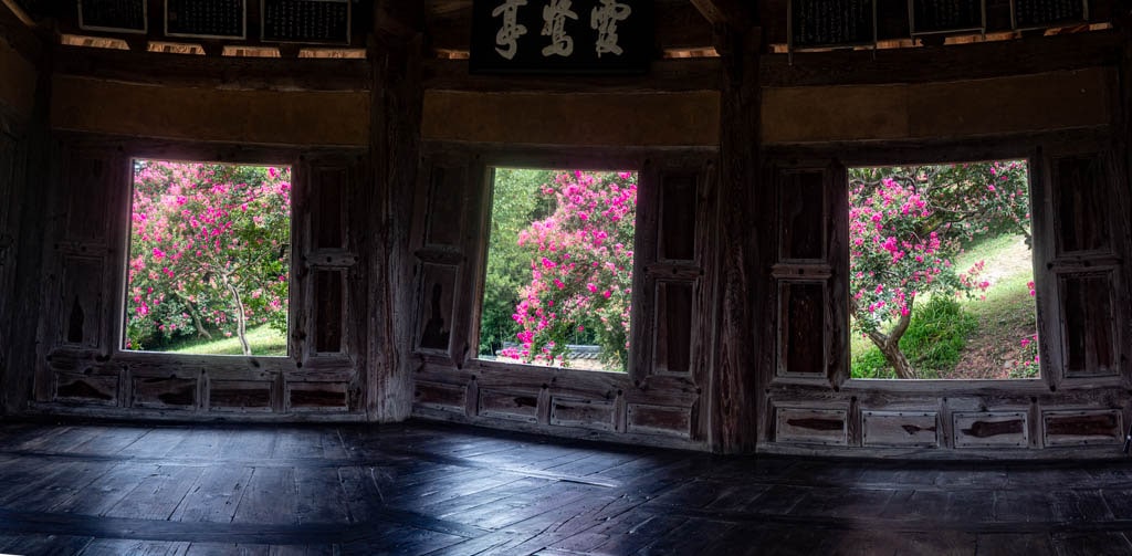 배롱나무 명소, 대구 하목정 배롱나무 풍경 소개 29 배롱나무 명소, 대구 하목정 배롱나무 풍경 소개 27