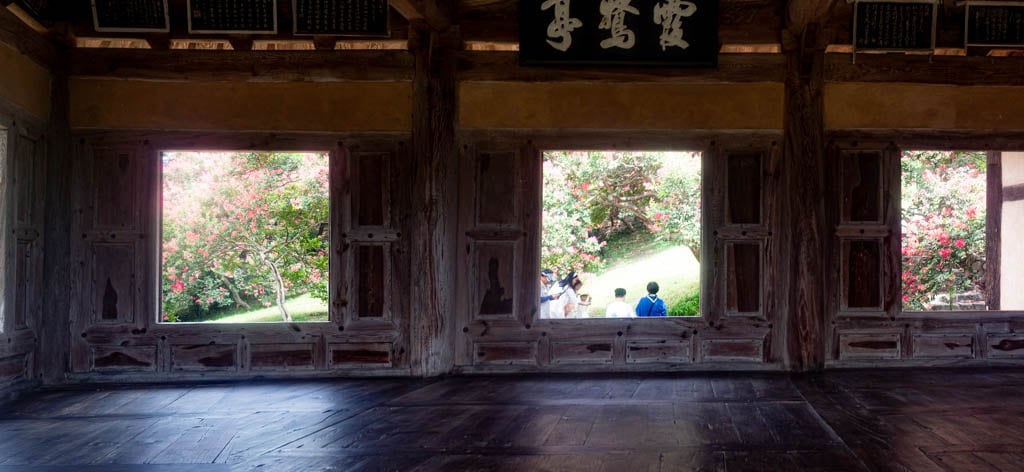 배롱나무 명소, 대구 하목정 배롱나무 풍경 소개 27 배롱나무 명소, 대구 하목정 배롱나무 풍경 소개 25