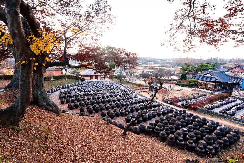 사계절 아름다운 논산 명재고택 배롱나무 풍광과 가을 풍광 소개 11