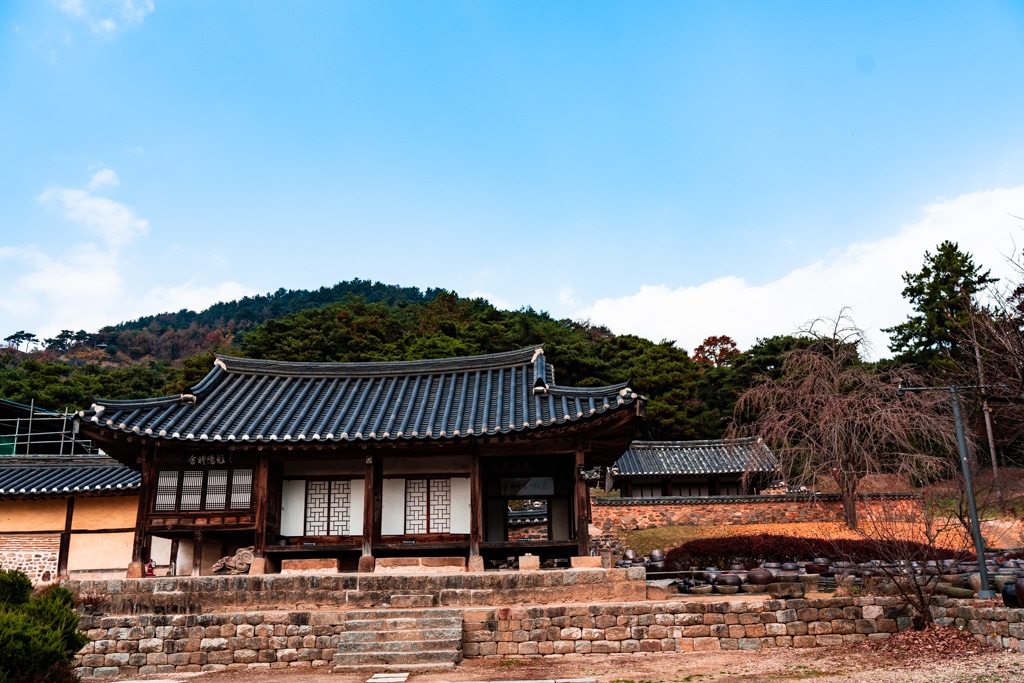 사계절 아름다운 논산 명재고택 배롱나무 풍광과 가을 풍광 소개 10