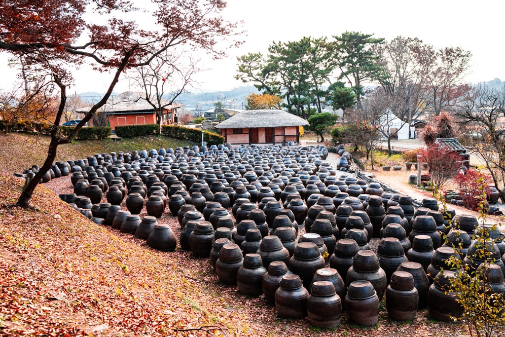 사계절 아름다운 논산 명재고택 배롱나무 풍광과 가을 풍광 소개 12