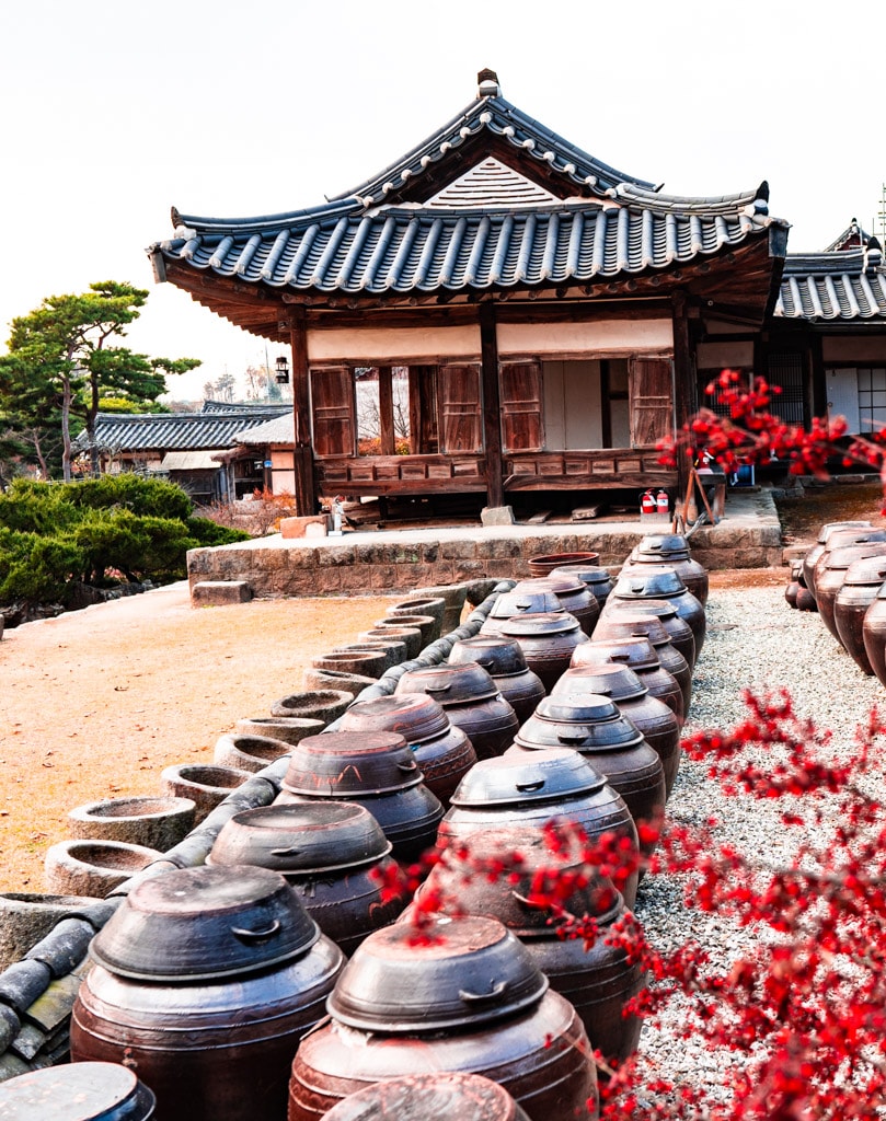 사계절 아름다운 논산 명재고택 배롱나무 풍광과 가을 풍광 소개 13