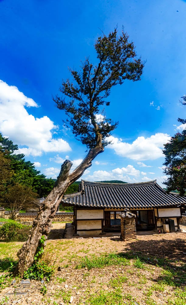 배롱나무 명소, 논산 종학당 소개 55 배롱나무 명소, 논산 종학당 소개 53