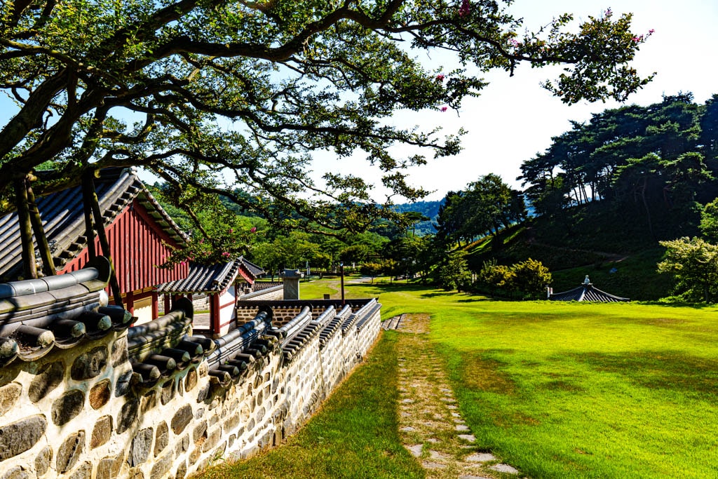 아직 꽃이 피지 않아 아쉬웠던 서천 문헌서원 배롱나무 방문기 40